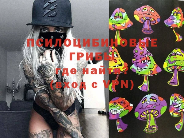 ешки Покачи