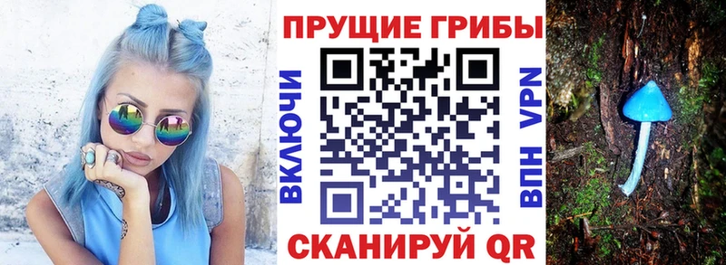 Галлюциногенные грибы GOLDEN TEACHER  omg сайт  Жирновск  купить  